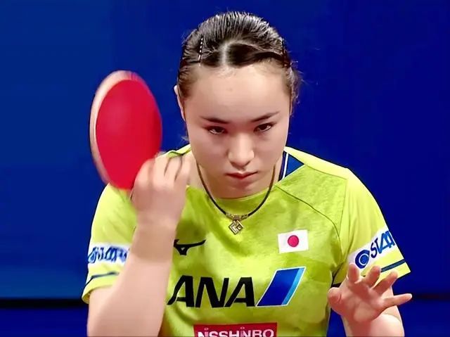 与历史的对
